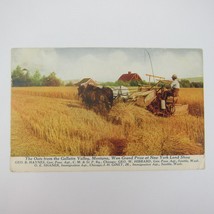 Postcard Gallatin Valley Montana Award Winning Oats Farming Farmer Antiq... - $9.99