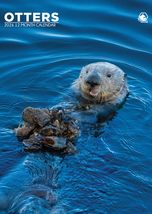 Otters Calendar 2026 - $19.99