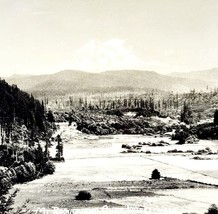 RPPC Mount Rainier From Ohop Valley Ellis 1920s Washington Pacific NW PC... - $29.99