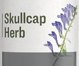 SKULLCAP HERB - Natural Muscle Tension, Stress &amp; Sleep Support Herbal Ti... - £19.91 GBP+