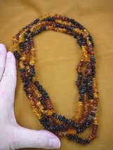 (PB-402) Orange Baltic Amber Chip Chips Poland Beaded Jewelry 76" Long Necklace - $194.47