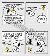 New Snoopy and Woodstock Comic Strip Design Checkbook Cover - £7.93 GBP