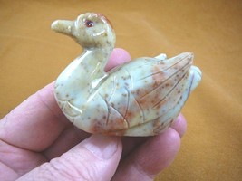 (y-duc-401) tan red duckling Duck carving stone gemstone SOAPSTONE PERU ... - $21.03