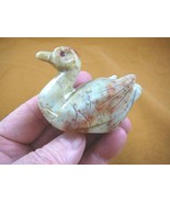 (y-duc-401) tan red duckling Duck carving stone gemstone SOAPSTONE PERU ... - £16.56 GBP
