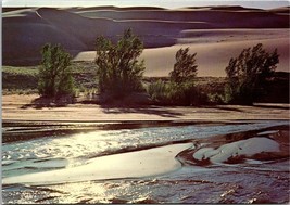 Medano Creek Great Sand Dunes National Monument CO Postcard PC11 - £3.98 GBP
