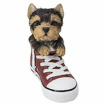 Pacific Giftware PT All Star Animal Yorkie Puppy Dog in The Shoe Decorative - £27.72 GBP