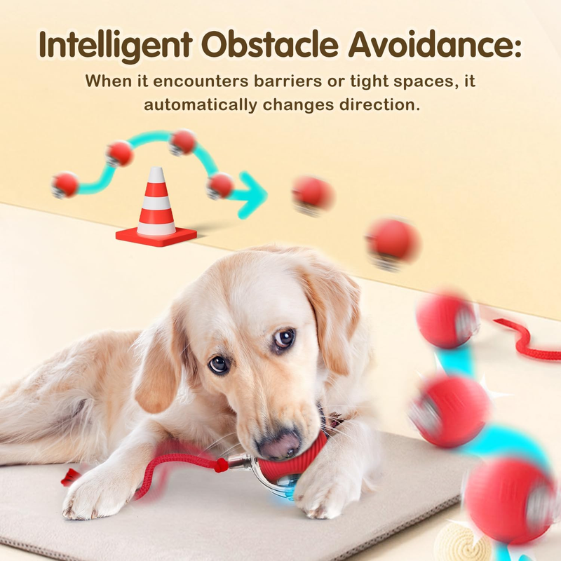 Interactive Rolling Cat Dog Ball Toy, 2025 New Automatic Interactive Cat Toys Se Item image 6