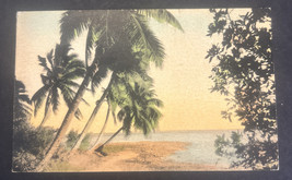 Vintage Postcard - Hand Colored - Coconut Palms By The Sea Pub By Sunny Scenes - £4.99 GBP