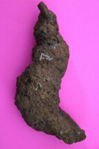 Giant Lizard Poop 5 Million Years Old Coprolite Genuine Fossil Dino Girl... - $29.99