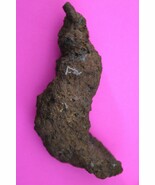 Giant Lizard Poop 5 Million Years Old Coprolite Genuine Fossil Dino Girl... - $41.13 CAD
