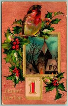A Happy New Year Holly Sparrow Faux Wood Grain Embossed 1910 DB Postcard H4 - £3.07 GBP