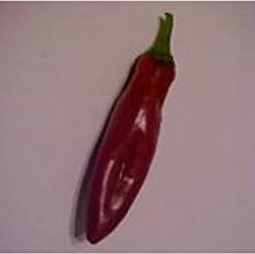 PM Kalocsa Sweet Peppers Seeds (20+ Seeds) | Non GMO | Vegetable Fruit H... - $3.98