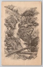 Waterfalls Flower Fallen Trees Schlesinger Landscape Greeting Postcard T29 - £4.70 GBP