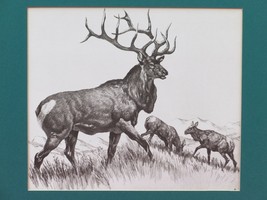 R.H Reinhold Palenske Hunting LITHOGRAPH-ENGRAVING Deer Buck Guarding His Family - £10.73 GBP