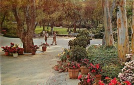 Old Chrome Postcard CA J432 Descanso Gardens La Canada Entrance Court Eucalyptus - $4.95