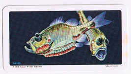 Brooke Bond Red Rose Tea Card #39 Fish With Lights Exploring The Ocean - $0.98