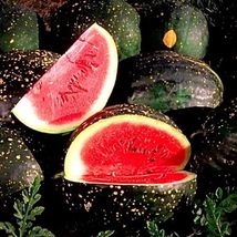 20 Seeds Moon and Stars Red Cherokee watermelon /NON-GMO - £10.88 GBP