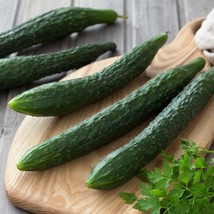 US Seller 25 Suyo Long Cucumber Seeds Heirloom Organic Genuine  - $9.07