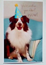 American Greetings Birthday Card &quot;You&#39;re Another Year Older? WOW!&quot; Dog T... - $7.35