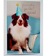 American Greetings Birthday Card &quot;You&#39;re Another Year Older? WOW!&quot; Dog T... - £5.74 GBP