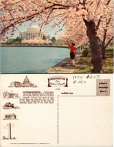 Washington D.C. Jefferson Memorial Japanese Cherry Trees Blossom VTG Postcard - £7.49 GBP