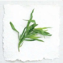 100 Tarragon Common Kitchen Artemisia Dracunculus Herb Seeds   - $17.00
