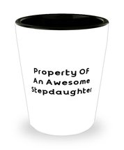 Epic Stepdaughter, Property Of An Awesome Stepdaughter, Perfect Shot Glass For D - £7.87 GBP