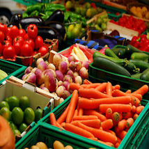 15000 Vegetable Food Seed Bank Kit Survival Heirloom Non GMO - $119.90