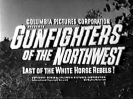GUNFIGHTERS of THE NORTHWEST (1954) Classic Cliffhanger Serial on 2 discs - $7.87