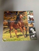2023 365 Days Of Horses Calendar - $12.99
