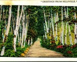 Generici Country Road Scena Greetings From Hillsville VA Wb Cartolina T18 - £4.79 GBP