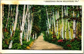 Generici Country Road Scena Greetings From Hillsville VA Wb Cartolina T18 - £4.78 GBP