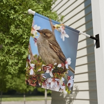 Decorative House Flag Bird House Flag Size 24.5&#39;&#39; × 32&#39;&#39; - £31.42 GBP