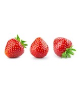 SML Everbearing Garden Strawberry Seeds 200 Seeds Grow Red Strawberry Vi... - $348.02 MXN