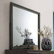 Carine II 45&quot;x35&quot; Mirror, Gray Finish - $137.00