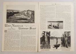 1929 Magazine Photos Giant Piraracu Fish Amazon River Brazil Natives - £10.63 GBP