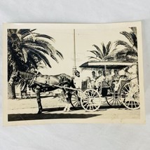 Vtg Photo Horse Drawn Carriage Coachman in Top Hat Tourist Palm Trees Coastal  - £22.23 GBP