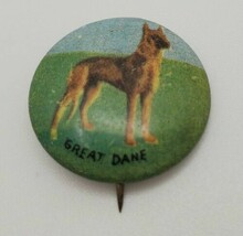 Vintage 1940s Dog Breed Miniature Pinback Button Great Dane - $19.60