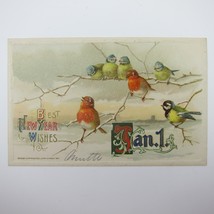 Postcard New Year&#39;s Birds Snowy Tree Branch Winter Winsch Gold Embossed Antique - £12.04 GBP