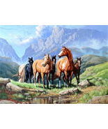 Wild Mountian Horses Cross Stitch Pattern****L@@K*** - $2.95