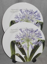 Set (2) Baum Brothers Agapanthus Pattern Dinner Plates Great Graphics! - £31.64 GBP