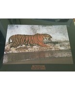 NorthWest Publishing Corp. 1997 Tiger Attitude Wildlife Animal Print (NEW) - £7.78 GBP