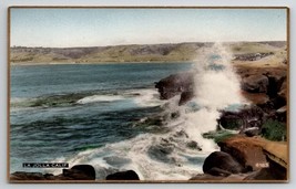 La Jolla California Fred Martin Hand Colored Gilded Photo Postcard I29 - £8.75 GBP