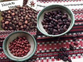 Peanut Sortiment - 3 Varieties - I. - 15+ seeds V 158 - £6.54 GBP