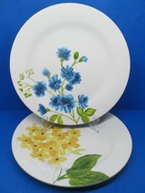 Home Studio &quot;Garden Bouquet&quot; Set Of 2 Assorted 10 3/4&quot; Dinner Plates REA... - $10.00