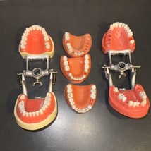 Dental Form LOT of  4 Typodont Teeth Display Model Partial Soft Hard Gums - £27.37 GBP