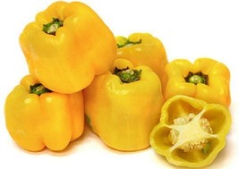 200 Pepper Seeds Sweet Sunbright Sweet Pepper Seeds 75 Days Fresh Seeds ... - $21.00