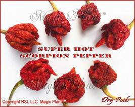 Scorpion Pepper - Dried Trinidad Scorpion Peppers Whole Pods 1LB (454g) - £46.47 GBP
