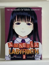 Manga Amnesia Labyrinth by Nagaru Tanigawa 2011, Trade Paperback Manga V... - $14.54