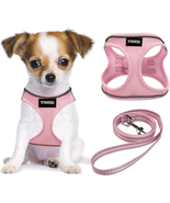 Dog Harness and Leash Set, No Pull Soft Mesh Pet Harness, (Pink, X-Small... - $247.51 MXN